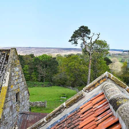 Tillys Cottage ゴースランド エクステリア 写真